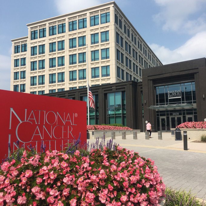 National Cancer Institute