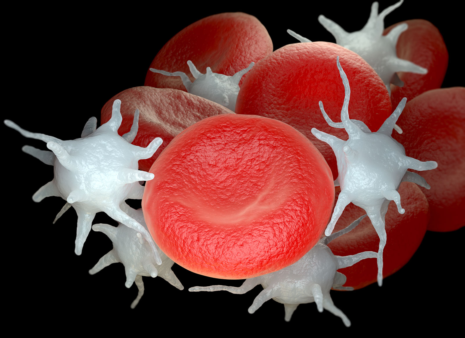 red-blood-cells-and-activated-platelets